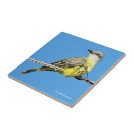 Atemberaubender Tropenvogel auf BlackBerry Fliese