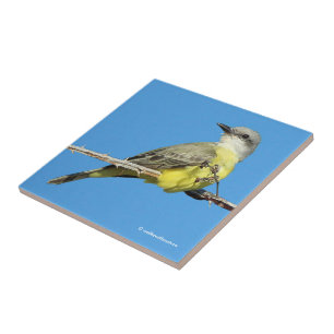 Atemberaubender Tropenvogel auf BlackBerry Fliese