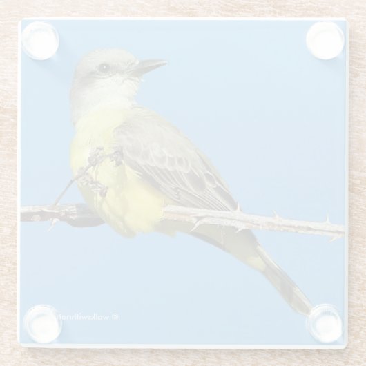 Atemberaubender Tropenvogel auf BlackBerry Glasuntersetzer (Rückseite)