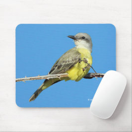 Atemberaubender Tropenvogel auf BlackBerry Mousepad