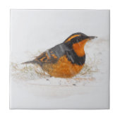 Atemberaubender Varietätsongbird am Schneetag Fliese (Vorderseite)