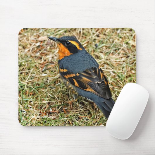 Atemberaubender Varietätsongvogel im Gras Mousepad (Mit Mouse)
