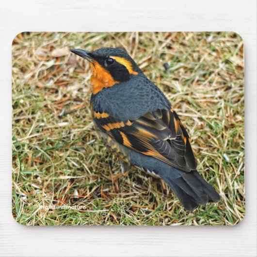 Atemberaubender Varietätsongvogel im Gras Mousepad (Vorne)