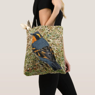 Atemberaubender Varietätsongvogel im Gras Tasche