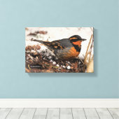 Atemberaubender Varietätsongvogel im Schnee Leinwanddruck (Insitu (Holzboden))