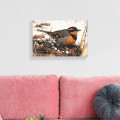 Atemberaubender Varietätsongvogel im Schnee Leinwanddruck (Insitu (Wohnzimmer))