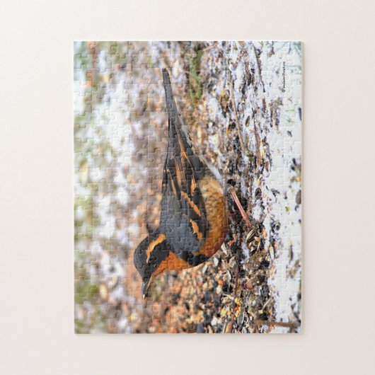 Atemberaubender Varietätsongvogel im Schnee Puzzle (Vertikal)