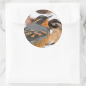 Atemberaubender Varietätsongvogel im Winter Runder Aufkleber (Tasche)