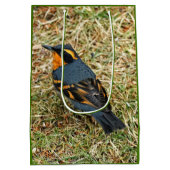 Atemberaubender Varieté-Thrush auf dem Rasen Mittlere Geschenktüte (Rückseite)