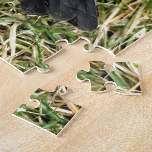 Atemberaubender Varieté-Thrush auf dem Rasen Puzzle (Seite)