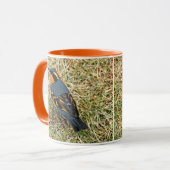 Atemberaubender Varieté-Thrush auf dem Rasen Tasse (Vorderseite Links)