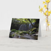 Atemberaubender Wasserfall Karte (Gelbe Blume)