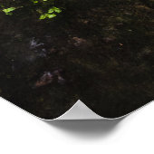 Atemberaubender Wasserfall Šum im zauberhaften Wal Poster (Ecke)