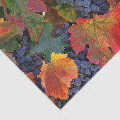 Atemberaubender Weinberg Seidenpapier (Ausschnitt)