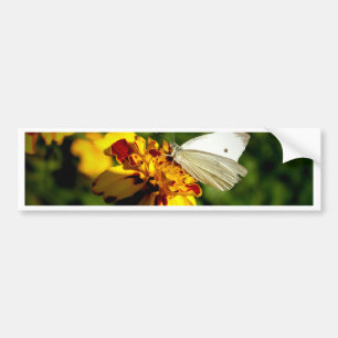 Atemberaubender weißer Schmetterling auf gelber un Autoaufkleber