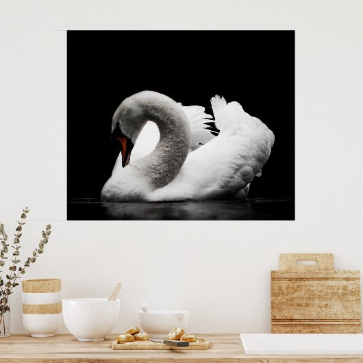 Atemberaubender weißer Schwan auf schwarzem Hinter Poster (Küche)