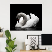 Atemberaubender weißer Schwan auf schwarzem Hinter Poster (Heimbüro)