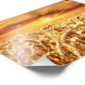 Atemberaubender Weizenfeld Fotodruck (Ecke)