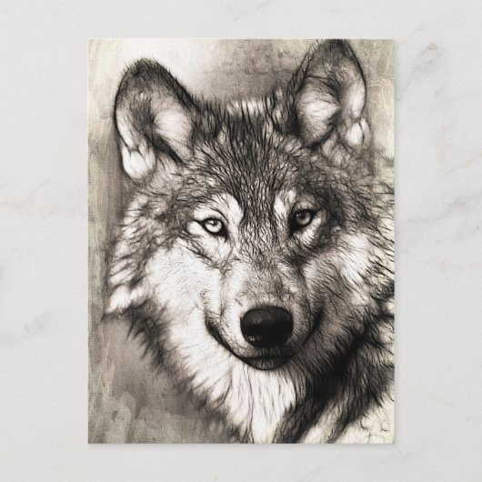 Atemberaubender Wolf Gesicht Foto Druckzubehör the Postkarte (Vorderseite)
