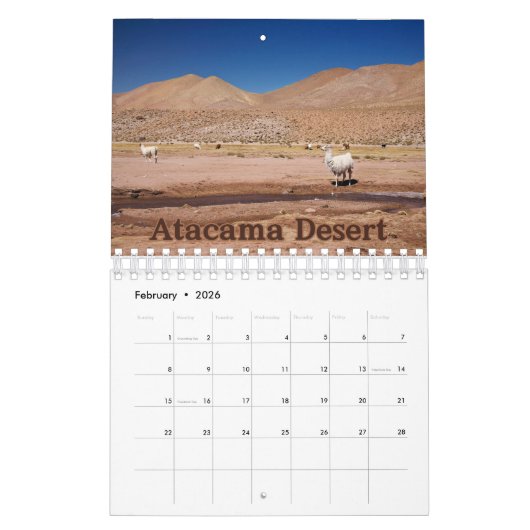 Atemberaubender Wüstenvorführkalender Kalender (Feb 2026)