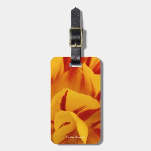 Atemberaubender zweitfarbener Monsella Gepäckanhänger (Vorderseite vertikal)