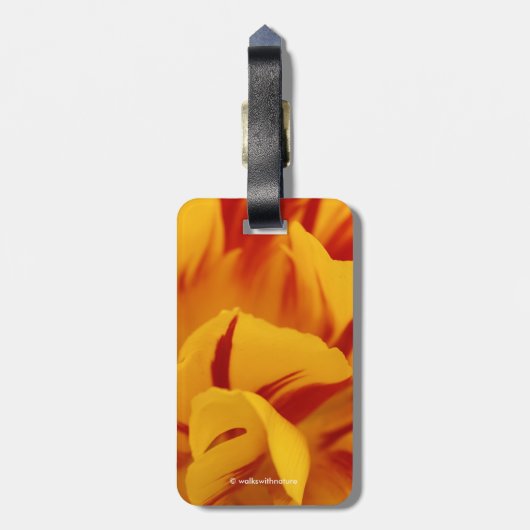 Atemberaubender zweitfarbener Monsella Gepäckanhänger (Rückseite vertikal)