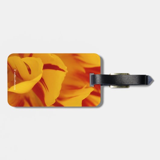 Atemberaubender zweitfarbener Monsella Gepäckanhänger (Rückseite horizontal)