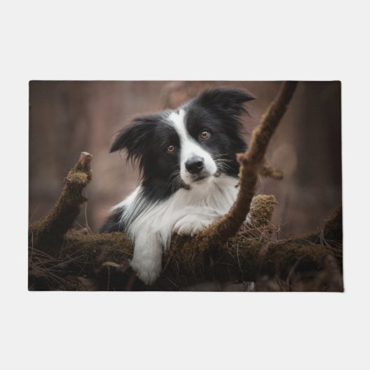 Atemberaubendes Border Collie Portrait Fußmatte (Vorderseite)