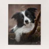 Atemberaubendes Border Collie Portrait Puzzle (Vertikal)