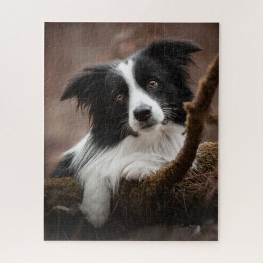 Atemberaubendes Border Collie Portrait Puzzle (Vertikal)