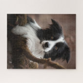 Atemberaubendes Border Collie Portrait Puzzle (Horizontal)