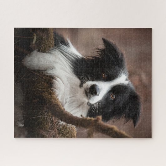 Atemberaubendes Border Collie Portrait Puzzle (Horizontal)