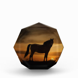 Atemberaubendes Foto für Pferde mit feiner Kunst