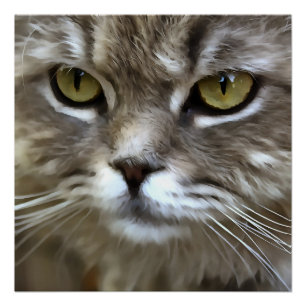 Atemberaubendes graues Katzen künstlerisches Portr Poster