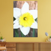 Atemberaubendes großes Daffodil Leinwanddruck (Insitu (Wohnzimmer))