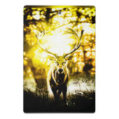 Atemberaubendes Hirsch 01 Mini Klemmbrett (Rückseite)