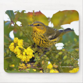Atemberaubendes Kap May Warbler Songbird auf Mahon Mousepad