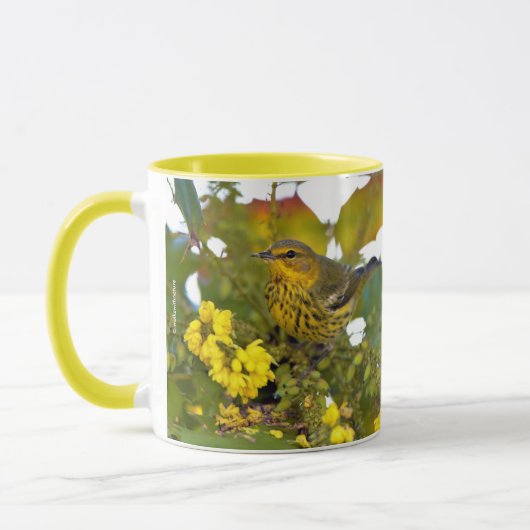 Atemberaubendes Kap May Warbler Songbird auf Mahon Tasse (Links)