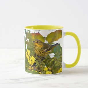 Atemberaubendes Kap May Warbler Songbird auf Mahon Tasse