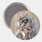 Atemberaubendes Kurz-gezüchtetes Owl in den Marsch Magnet (Vorderseite/Rückseite)