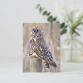 Atemberaubendes Kurzes Ecken mit Vole Postkarte (Stehend Vorderseite)