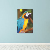 Atemberaubendes Macaw Leinwanddruck (Insitu (Holzboden))