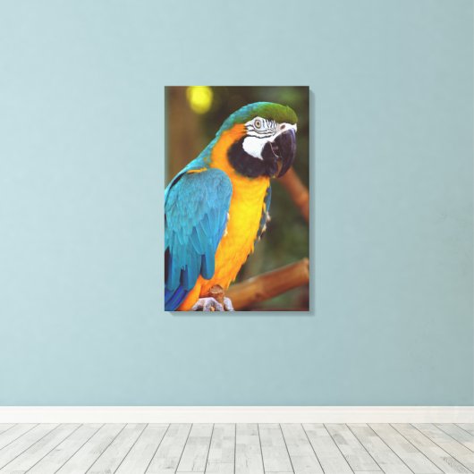 Atemberaubendes Macaw Leinwanddruck (Insitu (Holzboden))