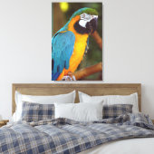 Atemberaubendes Macaw Leinwanddruck (Insitu (Schlafzimmer))