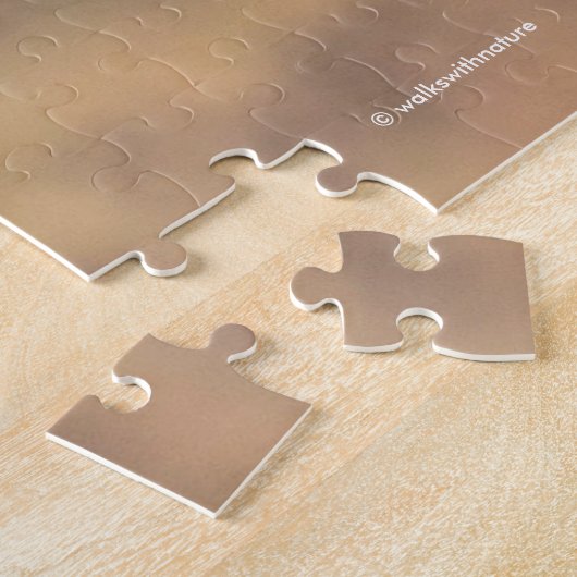 Atemberaubendes Nordharrier auf der Jagd im Sumpf Puzzle (Seite)