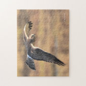 Atemberaubendes Nordharrier auf der Jagd im Sumpf Puzzle (Vertikal)