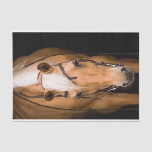 Atemberaubendes Palominopferd Seidenpapier (Vorderseite)