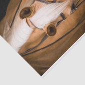 Atemberaubendes Palominopferd Seidenpapier (Ausschnitt)