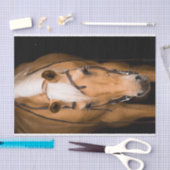 Atemberaubendes Palominopferd Seidenpapier (Handwerk)