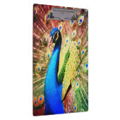 Atemberaubendes Pfau-Foto Klemmbrett (Rechts)
